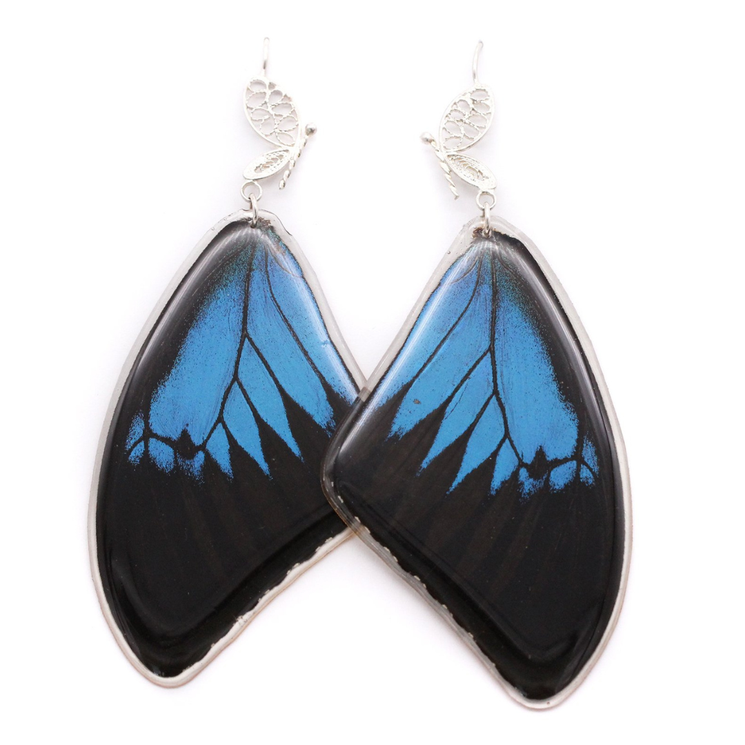 Blue Emperor - Blue and Black Statement Earrings