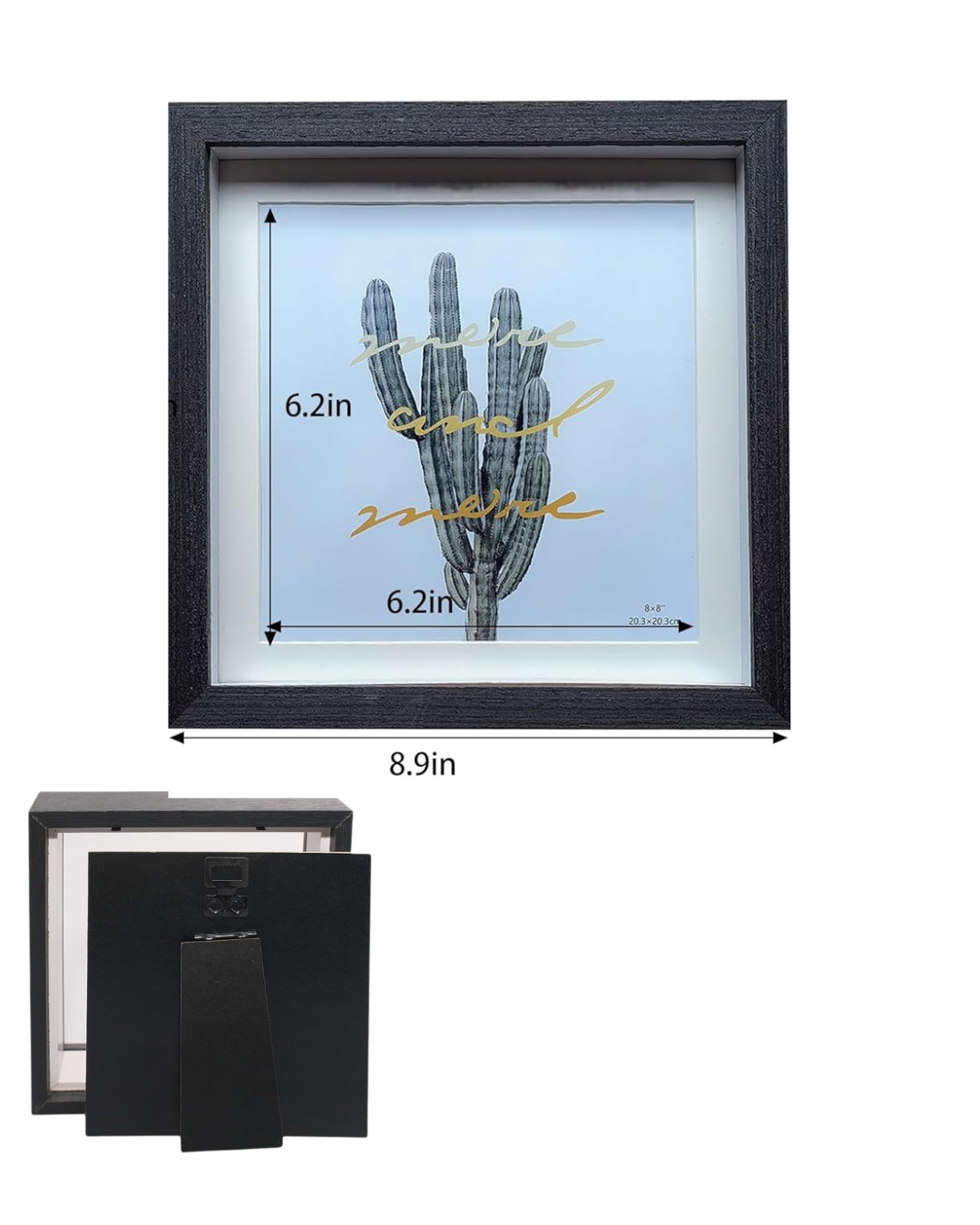 Shadow Box Display - Large - Blue Mountain Butterfly