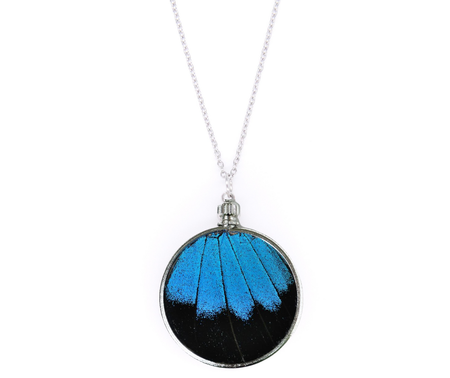 Blue Mountain Butterfly Pendant