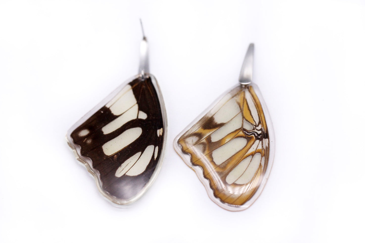 Wing Earrings - Stelenes Butterfly
