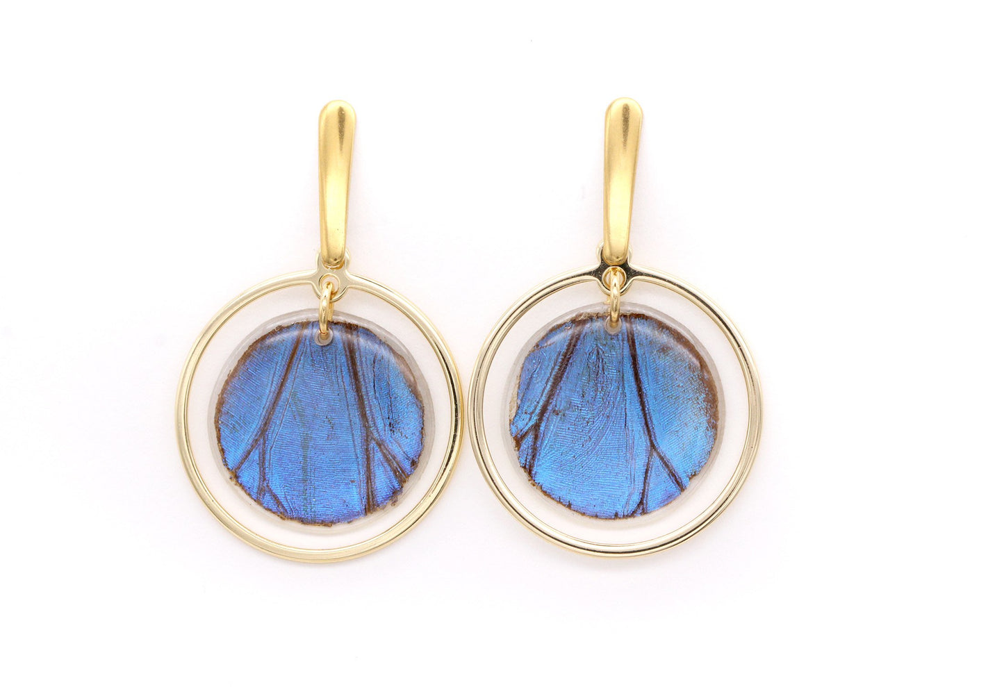 Blue Morpho - Round Dangling Earrings