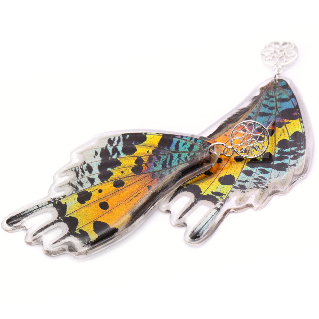 Real butterfly wing earrings multicolor sterling silver filigree post.