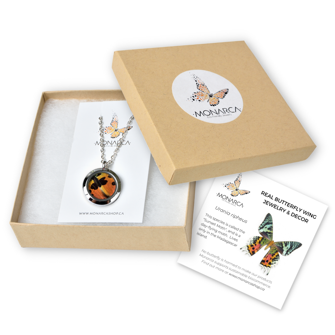 Sunset Moth Sup - Round Pendant