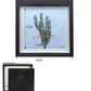 Shadow Box Display - Large - Blue Mountain Butterfly