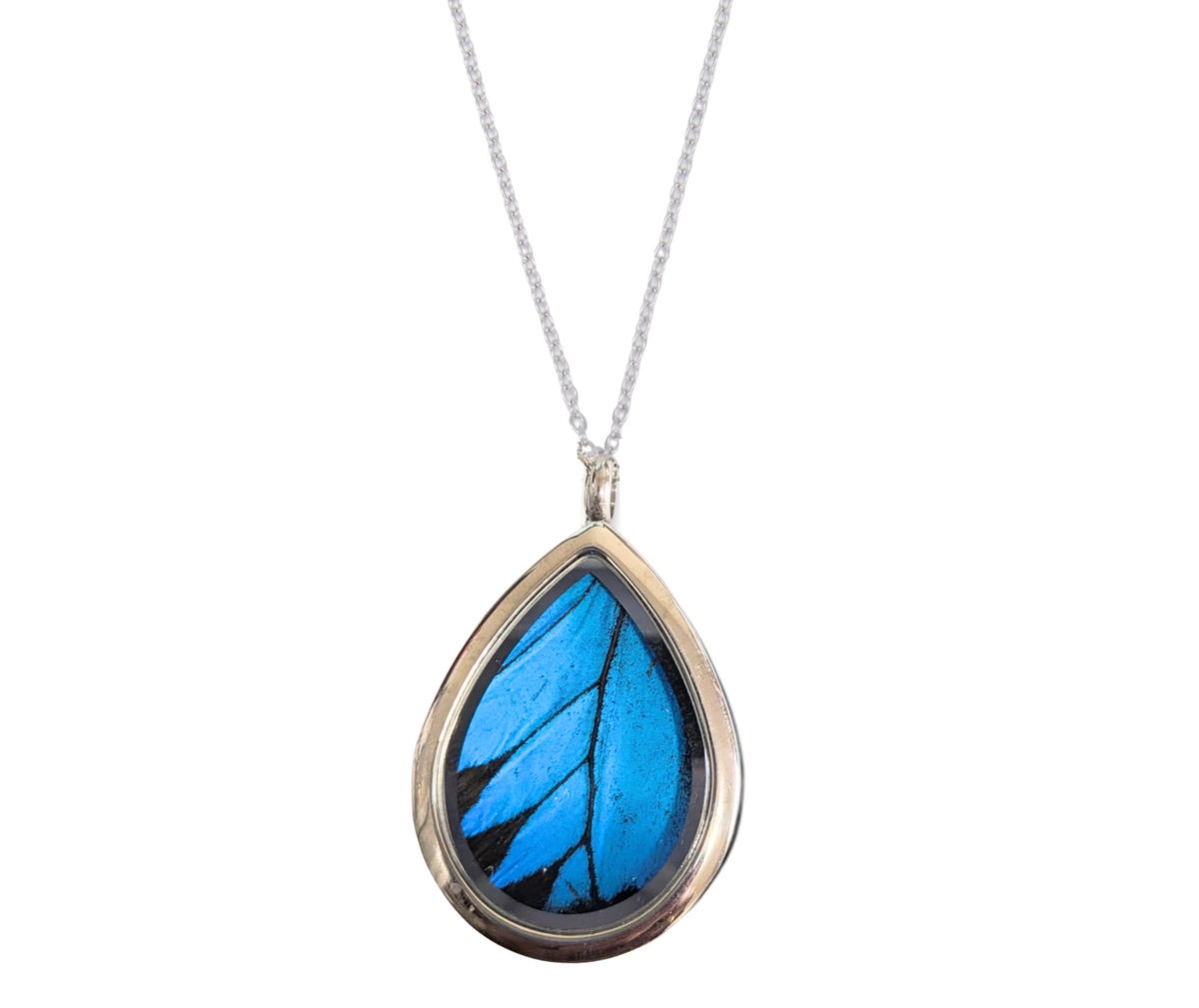Blue Mountain Butterfly - Teardrop Pendant