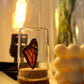 Real Butterfly Wing Display - Small - Monarch Butterfly