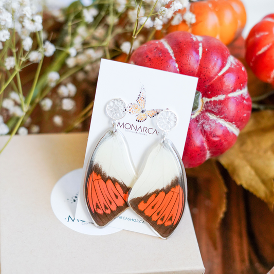 Orange Tip Butterfly - Earrings