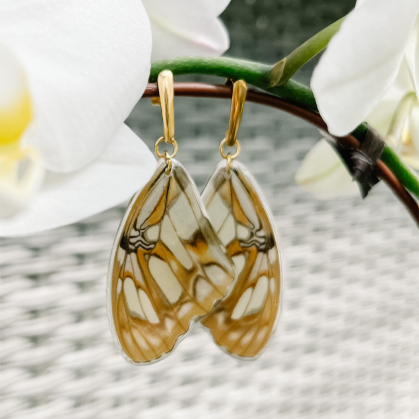 Malachite Butterfly Earrings - Golden Post