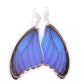 Blue Morpho - Blue Statement Earrings