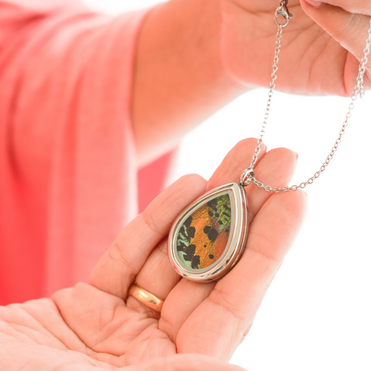 Sunset Moth - Teardrop Pendant