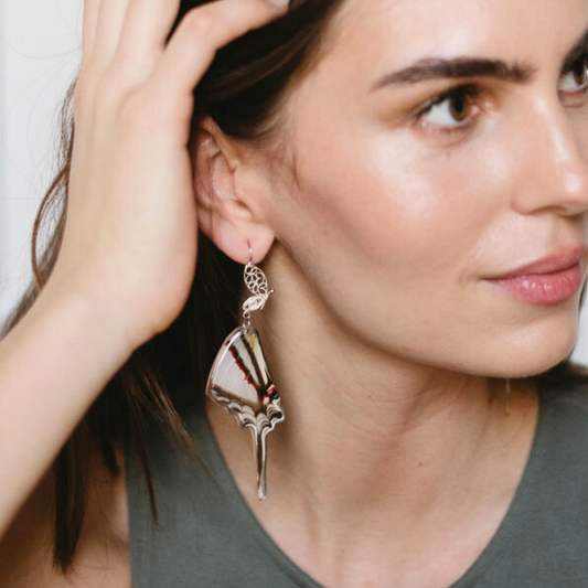 Kite Swallowtail Butterfly - Filigree Earrings