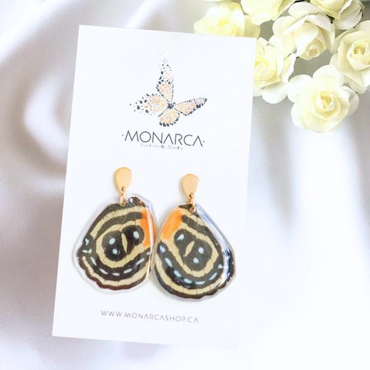 Real butterfly wing earrings handmade by Monarca Shop 