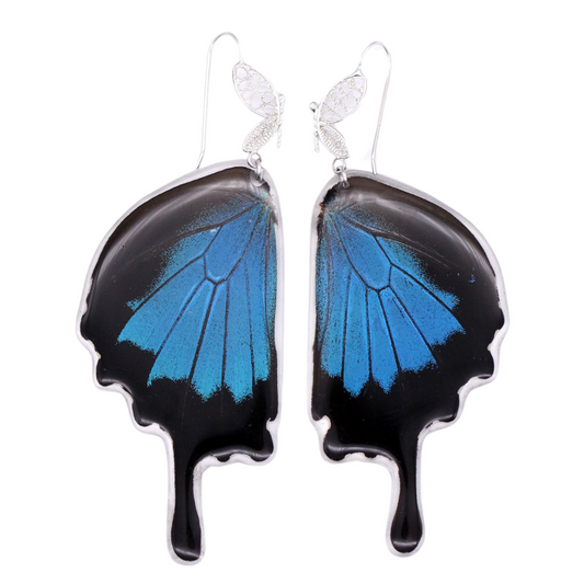 Ulysses Butterfly - Filigree Earrings