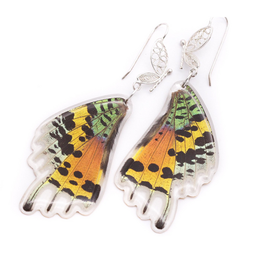 Filigree Earrings - Rainbow Sunset Moth