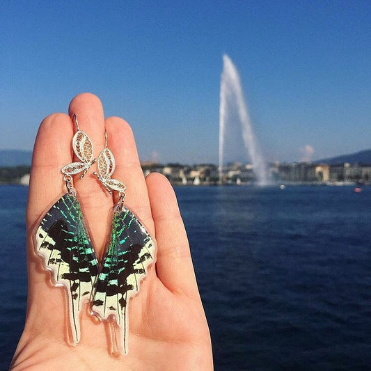 Leilus Butterfly - Filigree Earrings