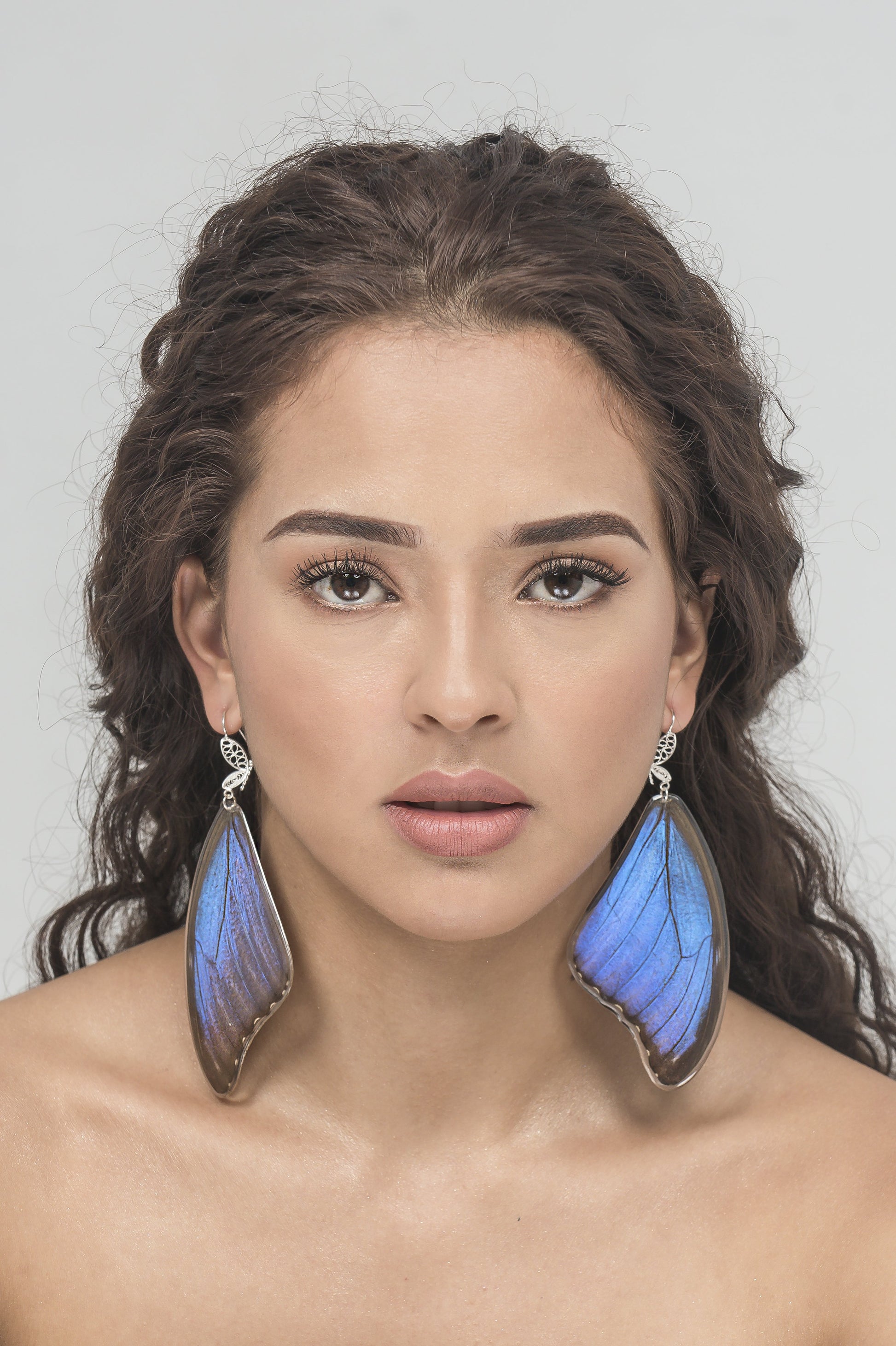 Long blue statement earrings made with real butterfly wings. Sterling silver filigree hooks. 