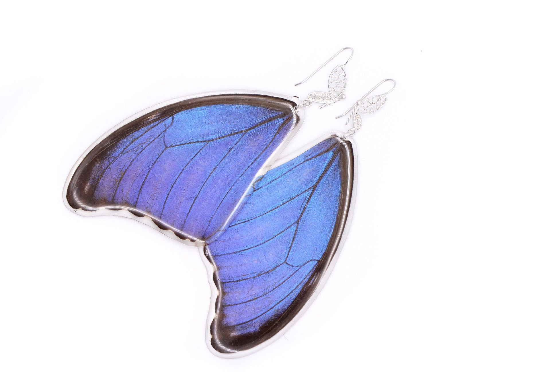 Long blue statement earrings made with real butterfly wings. Sterling silver filigree hooks. 