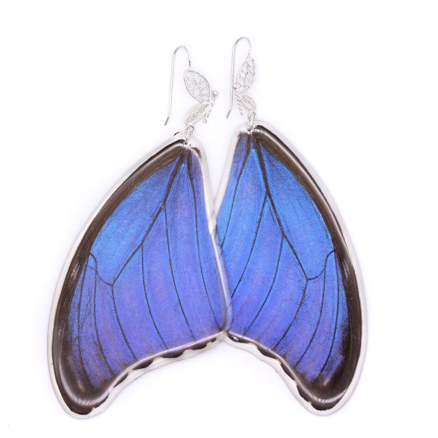 Long blue statement earrings made with real butterfly wings. Sterling silver filigree hooks. 
