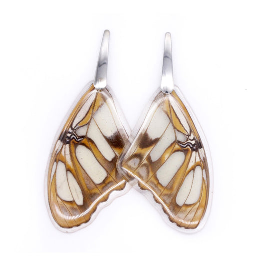 Monarca Jewelry Real butterfly whole wing earrings neutral colors with silver color post. Hypoallergenic, nickel free.