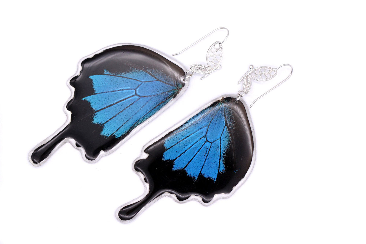 Blue Emperor - Statement Earrings