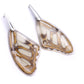 Wing Earrings - Stelenes Butterfly
