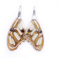 Wing Earrings - Stelenes Butterfly