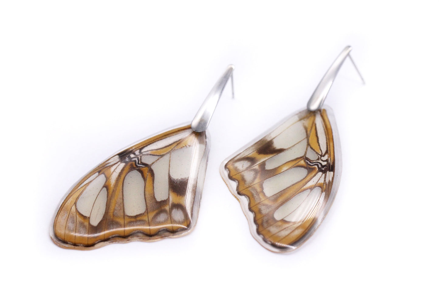 Wing Earrings - Stelenes Butterfly