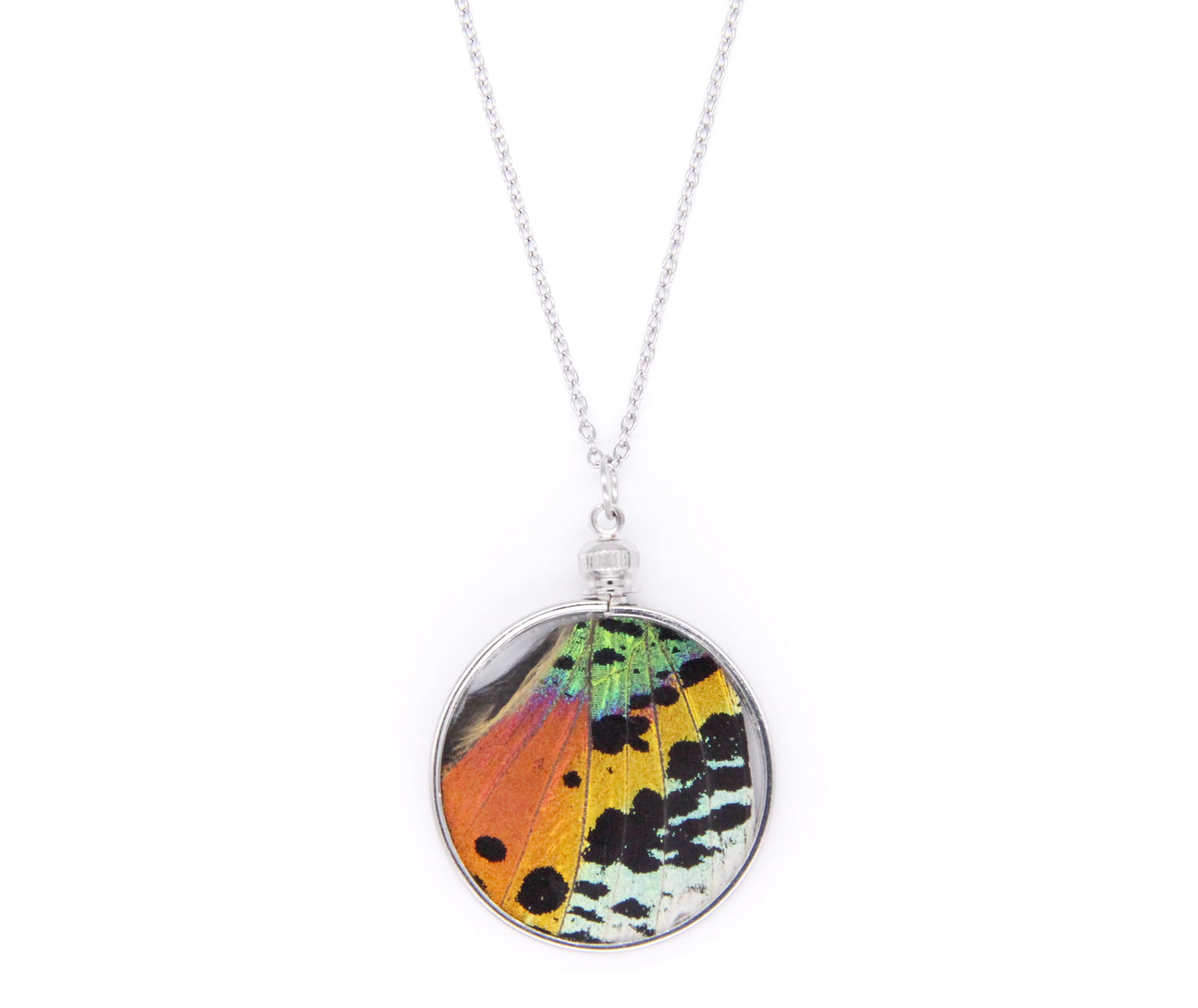 Rainbow Butterfly - Pendant