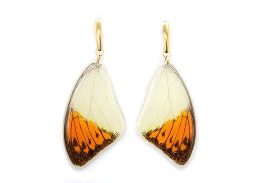Orange Tip Wing Earrings