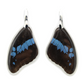 Bromius Butterfly - Dangling Earrings