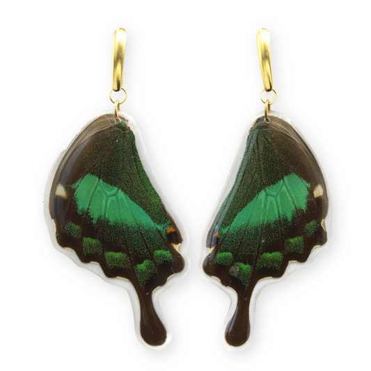 Emerald Butterfly - Dangling Earrings