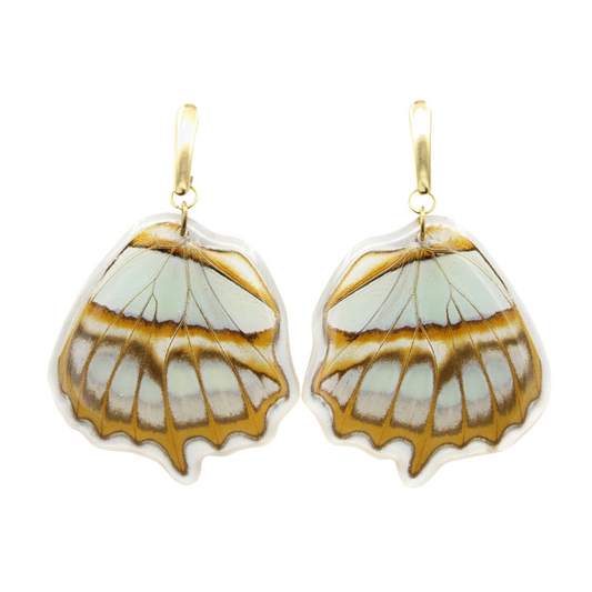 Malachite Butterfly Earrings - Golden Post