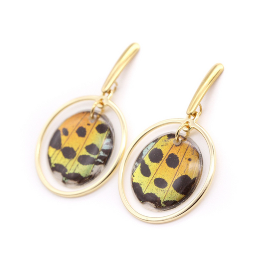 Rainbow Sunset - Dangling Earrings