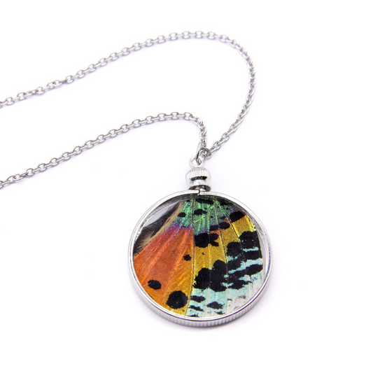 Rainbow Butterfly - Pendant