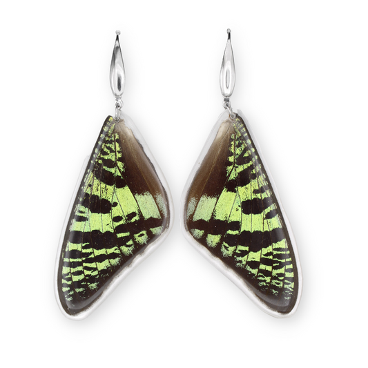Green Sunset Butterfly - Dangling Earrings
