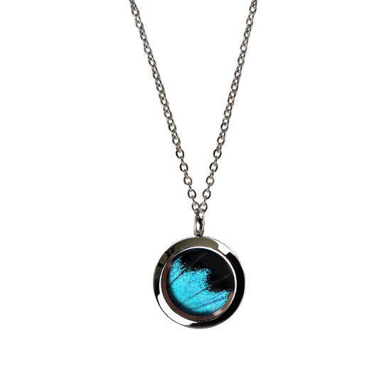 Real butterfly wing made pendant, round black and blue pendant, sealed locket , surgical steel color.