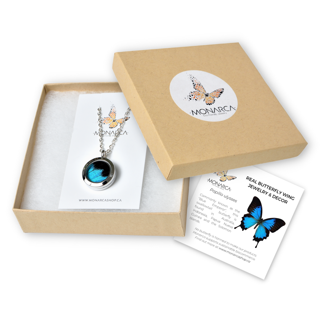 Real butterfly wing made pendant, round black and blue pendant, sealed locket in a jewelry box, surgical steel color.