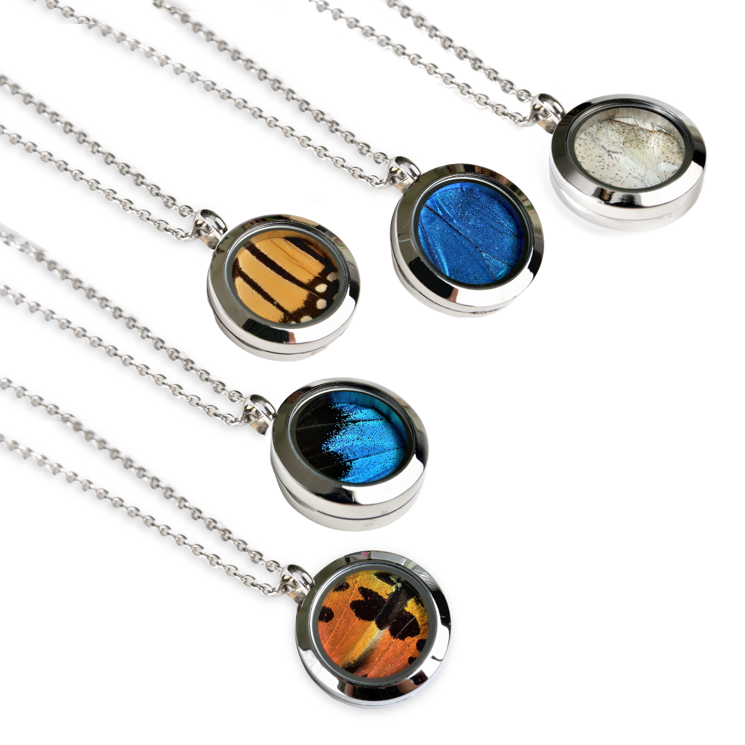 Real butterfly wing made pendants, round shaped pendants, round sealed lockets, surgical steel color