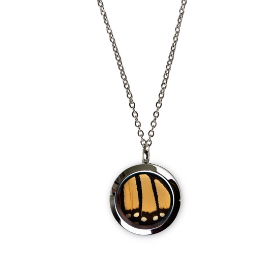 Real butterfly wing made pendant, round black and orange pendant, sealed locket , surgical steel color.